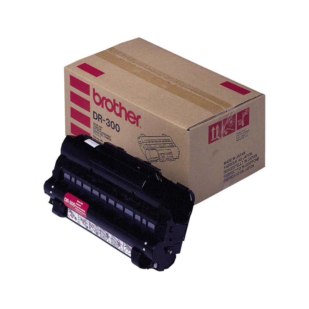 DR300_main